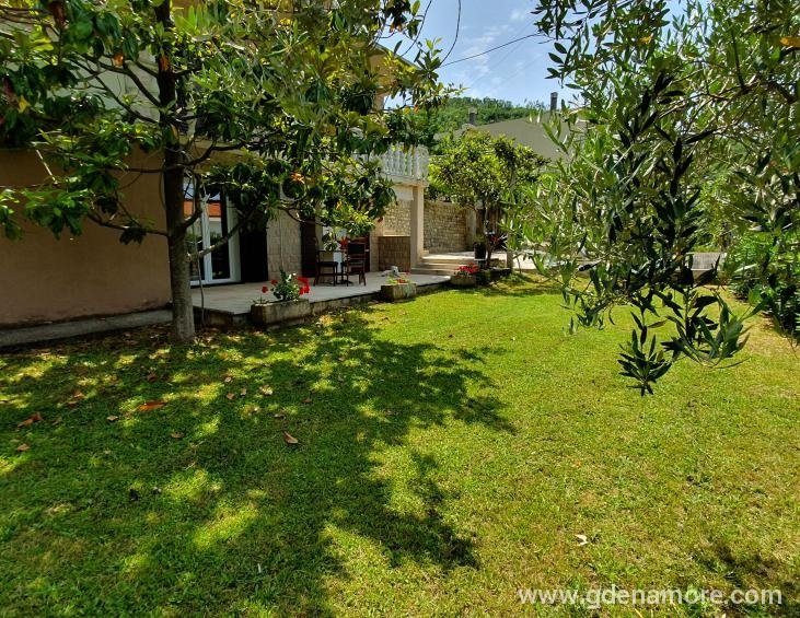 Studio with terrace 2